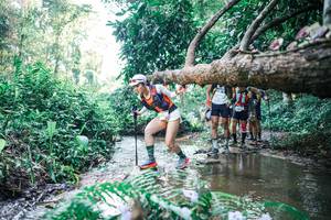 BIB: 
                            <button type="button" onclick="openModal(25444040)" class="btn btn-primary btn-sm float-right btn-popup" data-toggle="modal" data-target=".modal-high-quality">
                        <i class="fas fa-shopping-cart"></i> Add to Cart
                    </button>
                                            <button type="button" onclick="isThisMe(25444040, true)" class="btn btn-success btn-sm float-right btn-popup btn-isme hidden" data-toggle="tooltip" data-placement="bottom" title="นี่คือรูปของคุณใช่ไหม คลิกที่นี่เพื่อเอาเข้าอัลบั้ม">
                        <i class="fas fa-plus"></i> Add to album
                    </button>
                    <button type="button" onclick="isThisMe(25444040, false)" class="btn btn-warning btn-sm float-right btn-popup btn-isnotme hidden">
                        <i class="fas fa-ban"></i> Remove from album
                    </button>